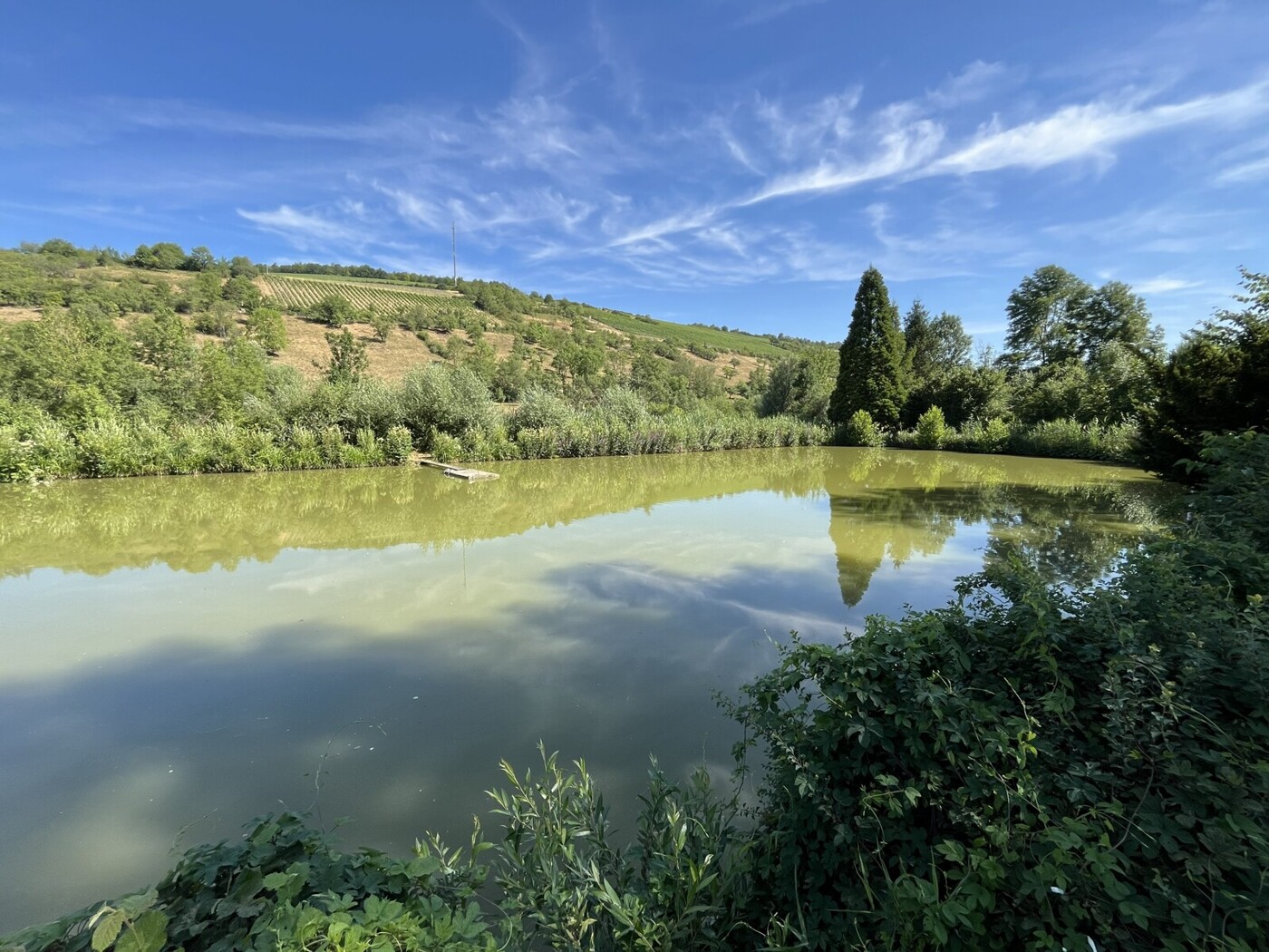 Bieterverfahren - Naturparadies mit ca. 8.200m² Grundstück mit Fischteichen und Gartenhütte