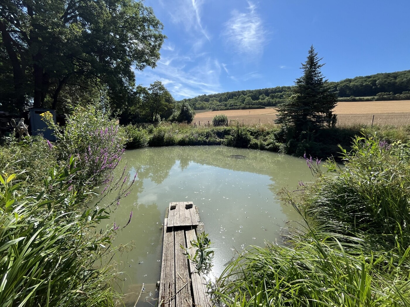 Bieterverfahren - Naturparadies mit ca. 8.200m² Grundstück mit Fischteichen und Gartenhütte