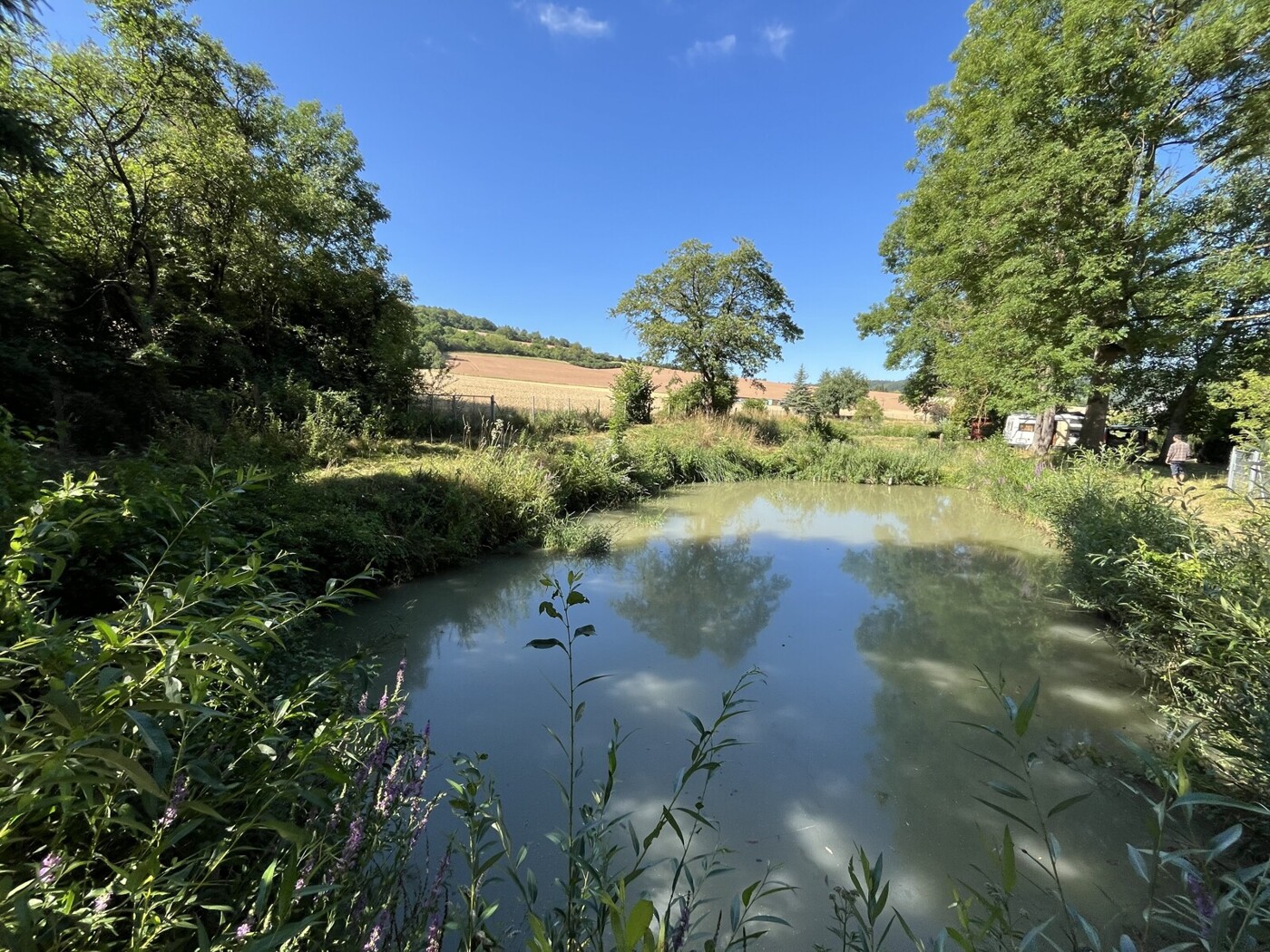 Bieterverfahren - Naturparadies mit ca. 8.200m² Grundstück mit Fischteichen und Gartenhütte