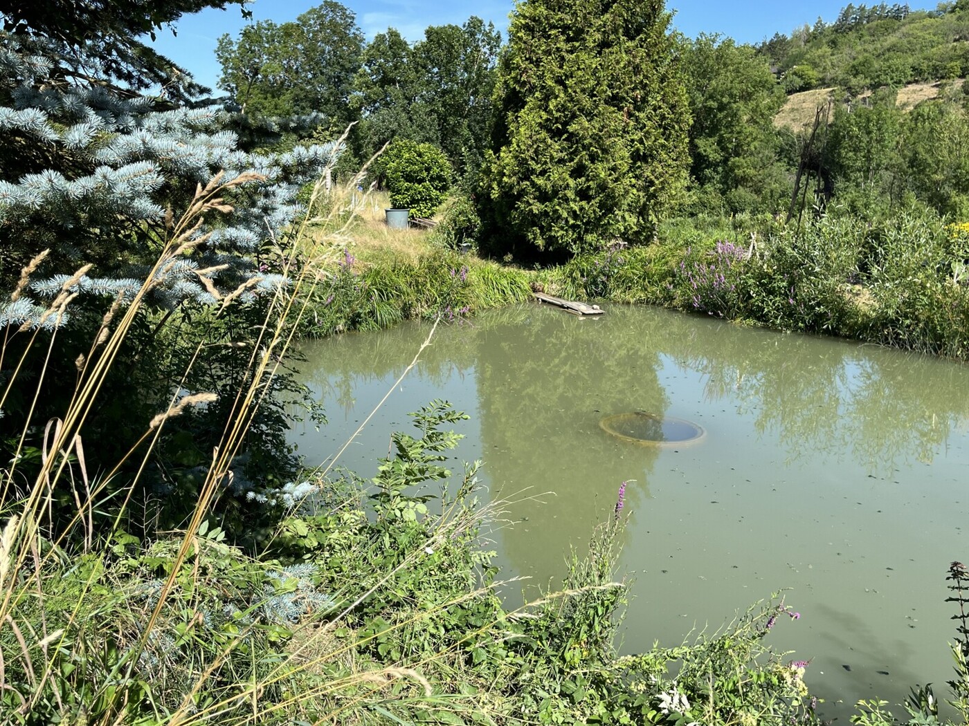 Bieterverfahren - Naturparadies mit ca. 8.200m² Grundstück mit Fischteichen und Gartenhütte