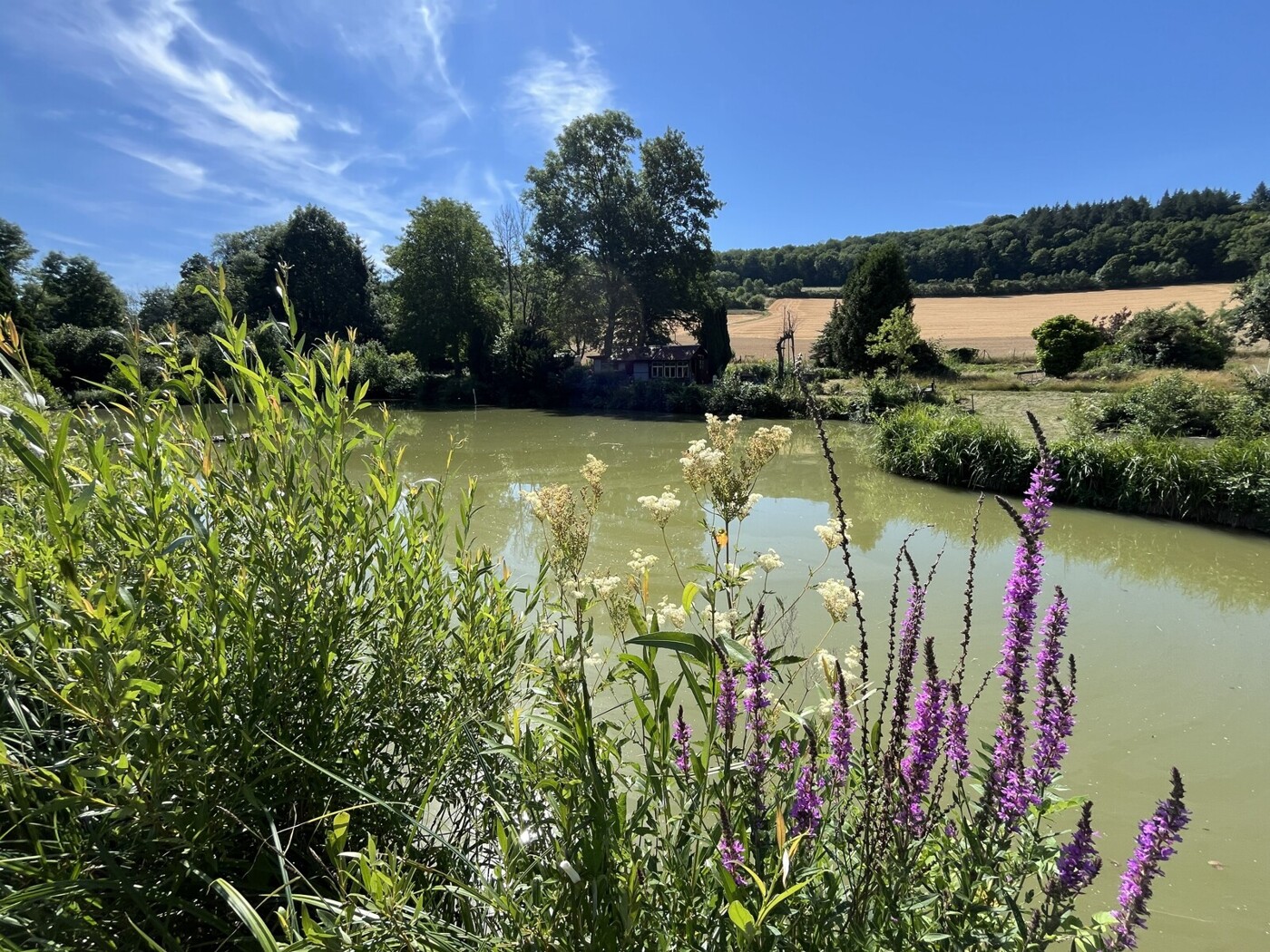 See - Fischteich