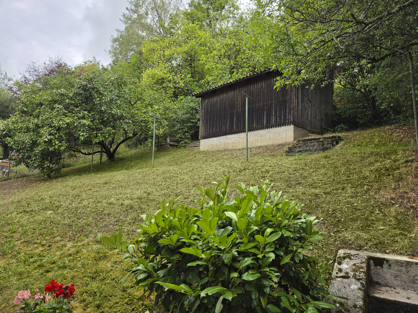 Garten