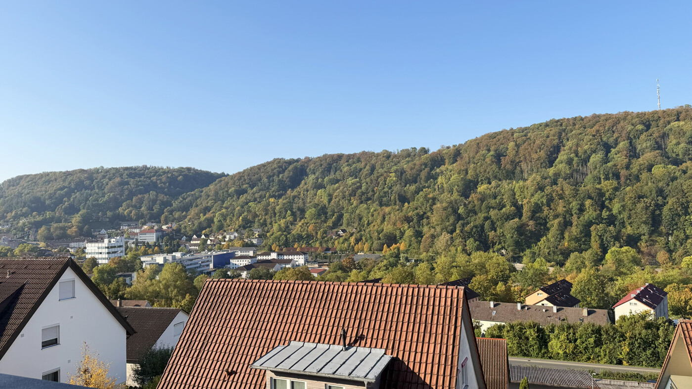 Ausblick