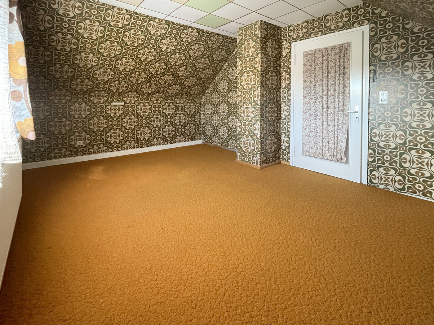 Zimmer DG