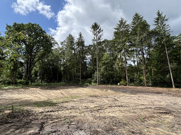 Grundstücke Stand 08-20258