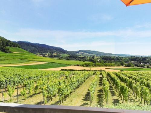 Blick vom Balkon