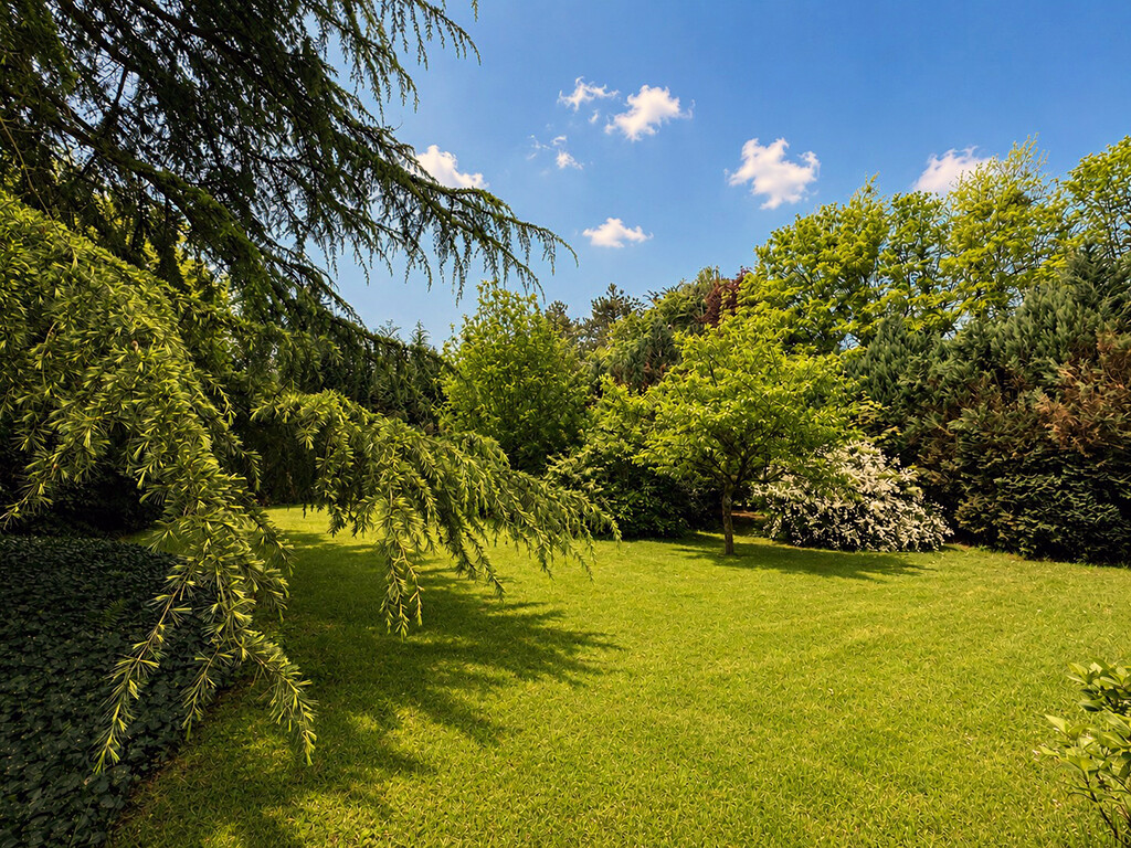 Immobilienbild