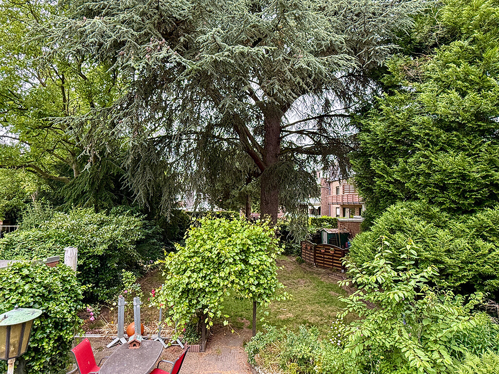Immobilienbild