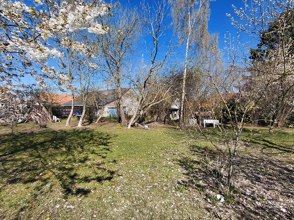 Immobilienbild