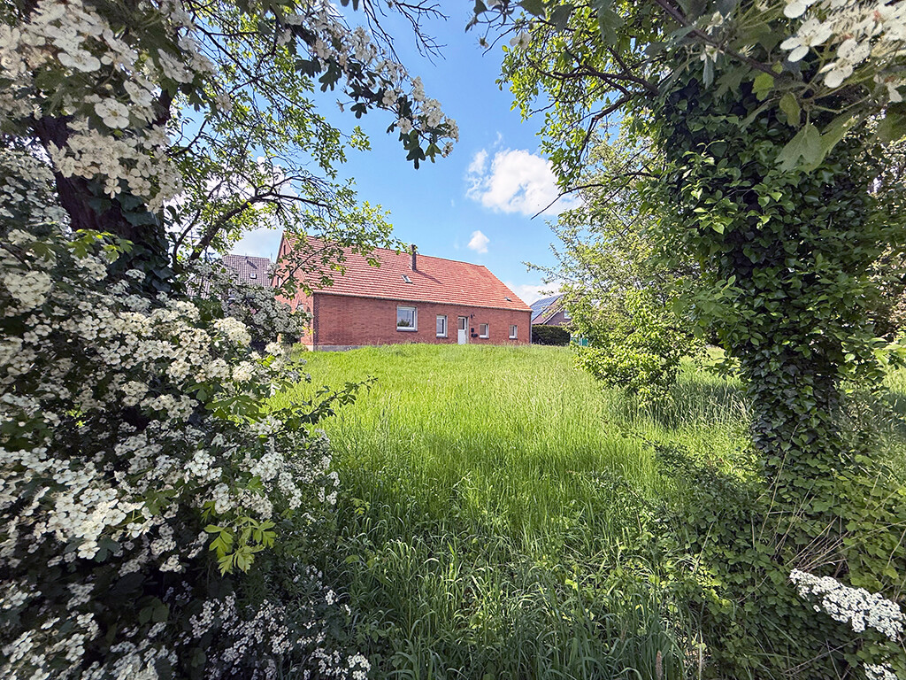 Immobilienbild