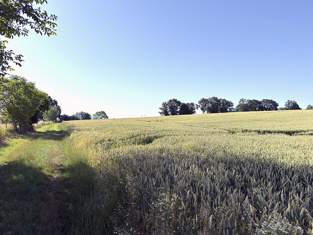 Immobilienbild