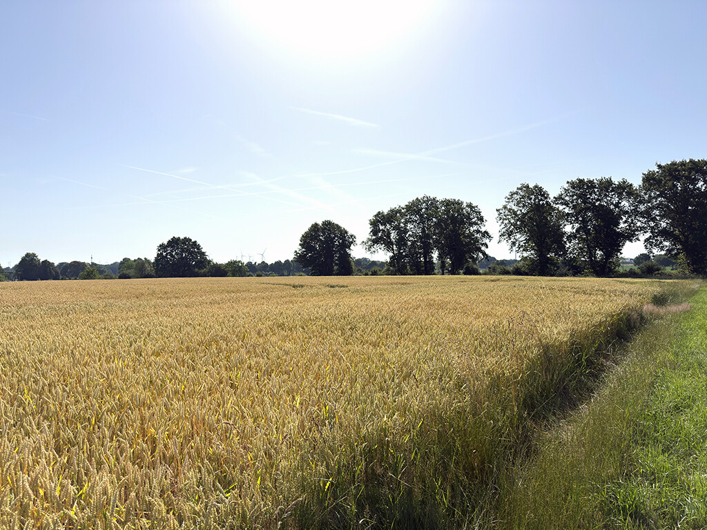Immobilienbild
