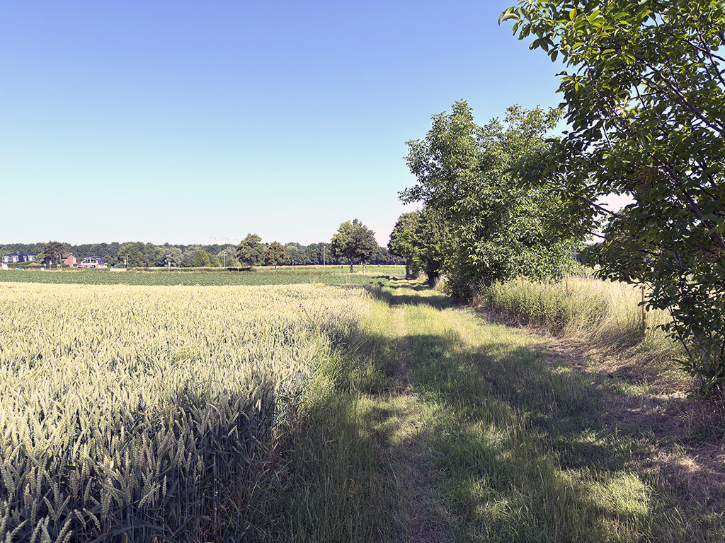 Immobilienbild