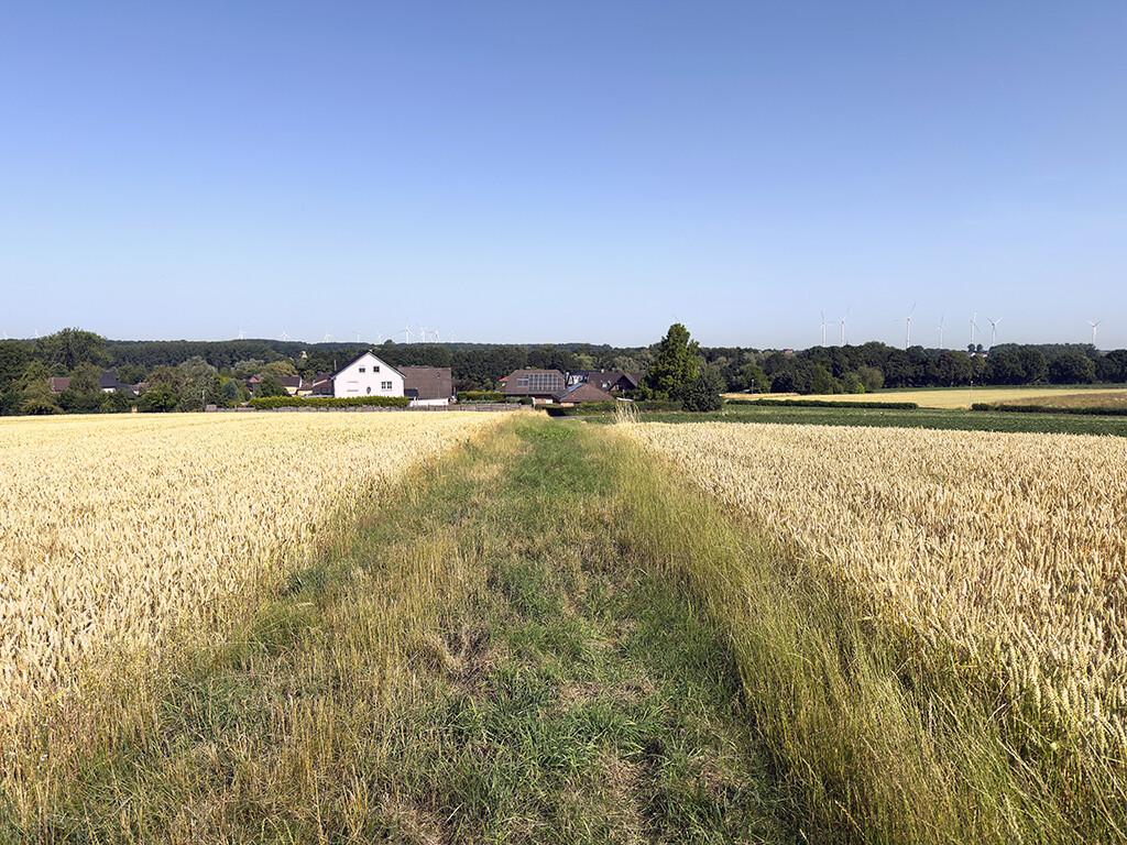 Immobilienbild