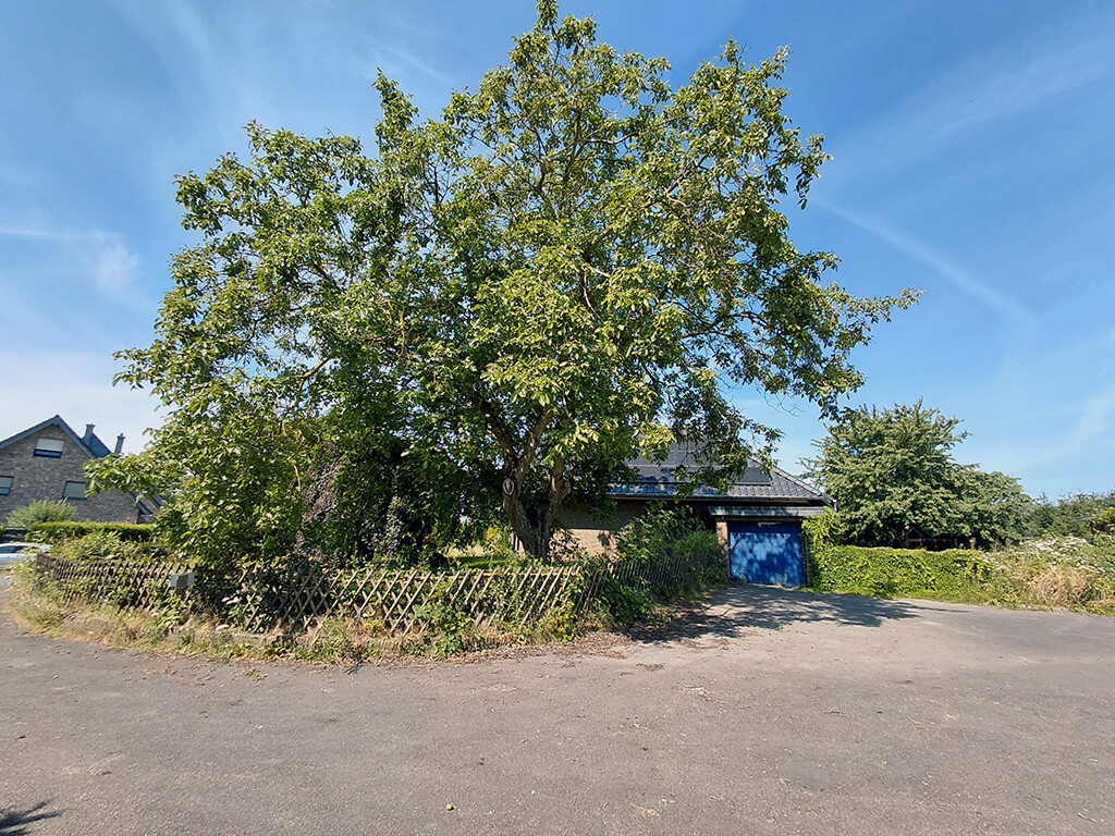 Immobilienbild