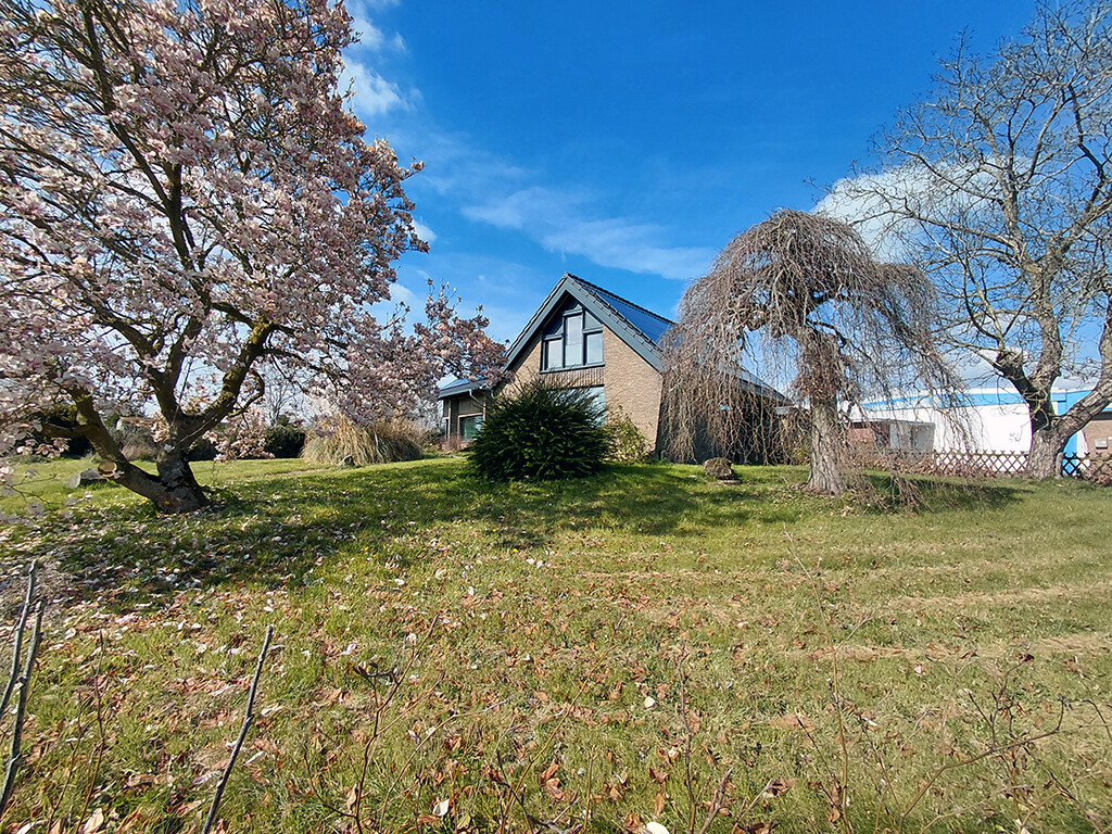 Immobilienbild