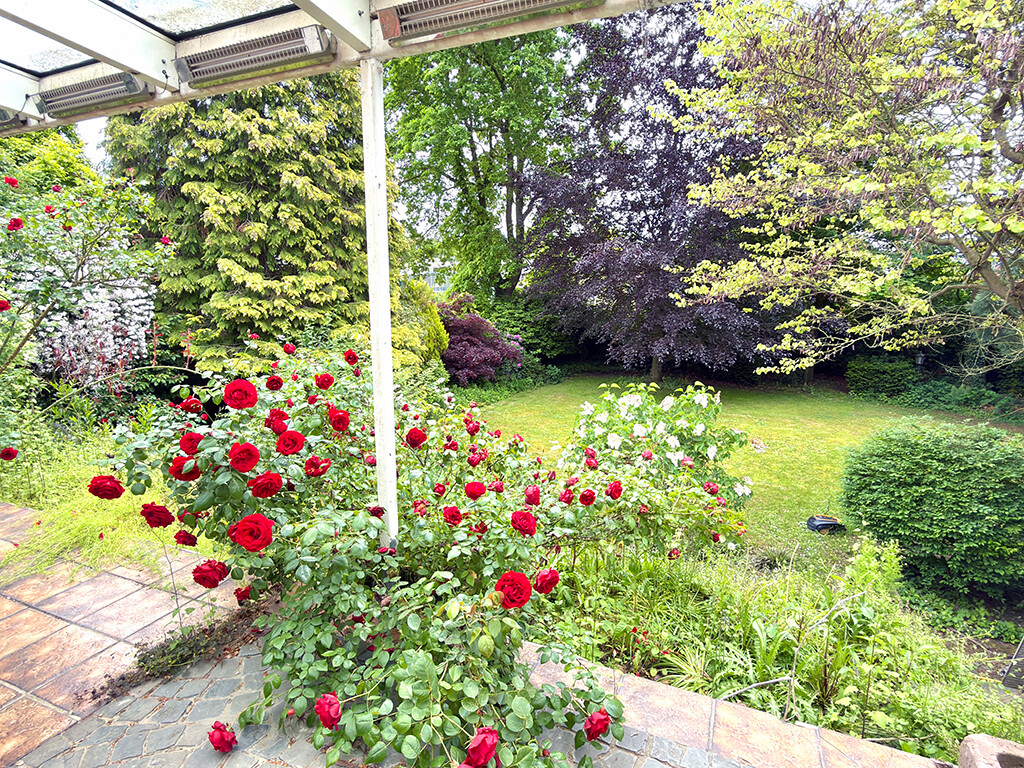 Immobilienbild