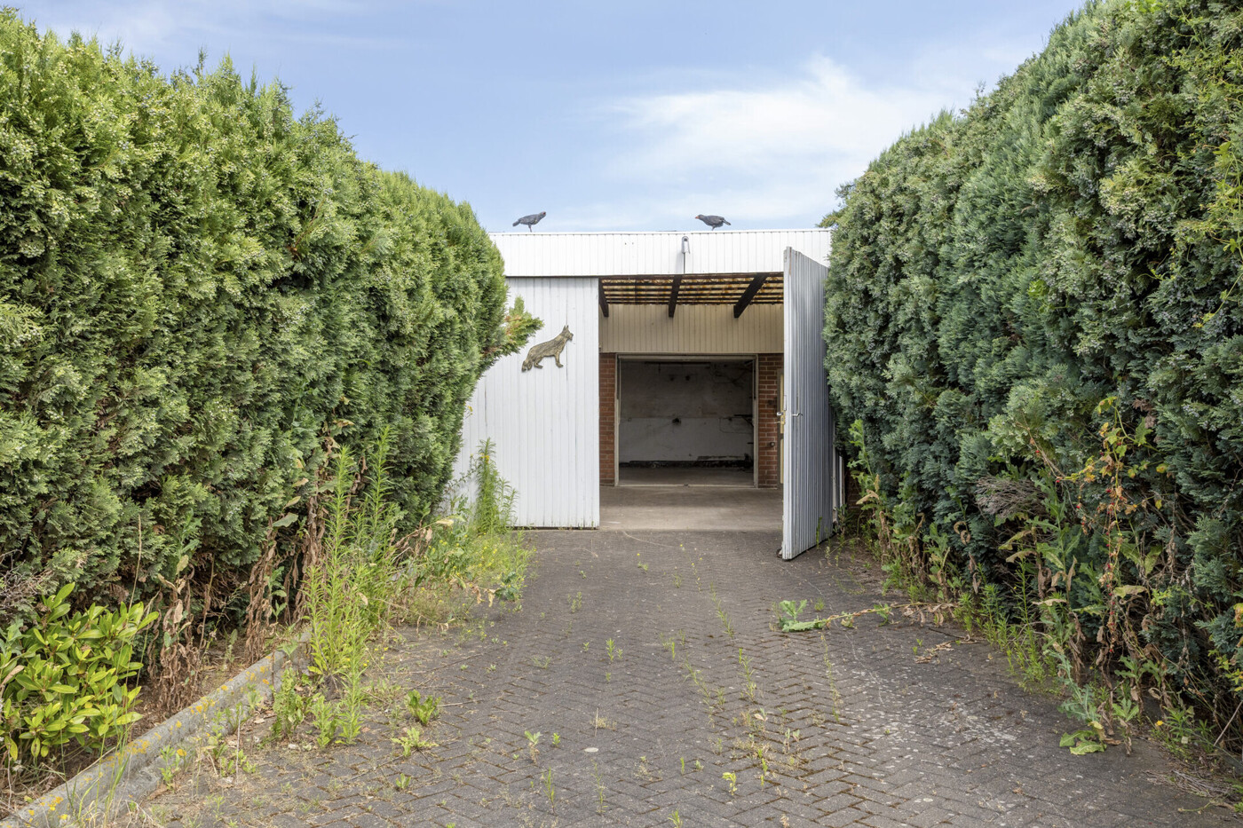 Immobilienbild