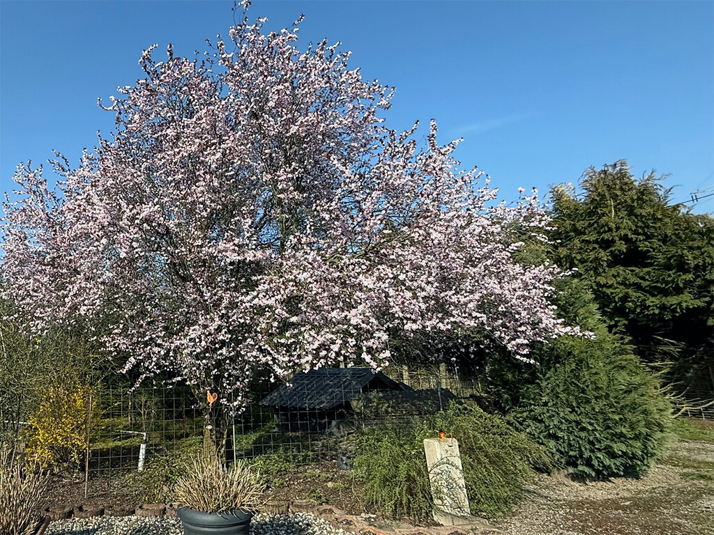 Immobilienbild