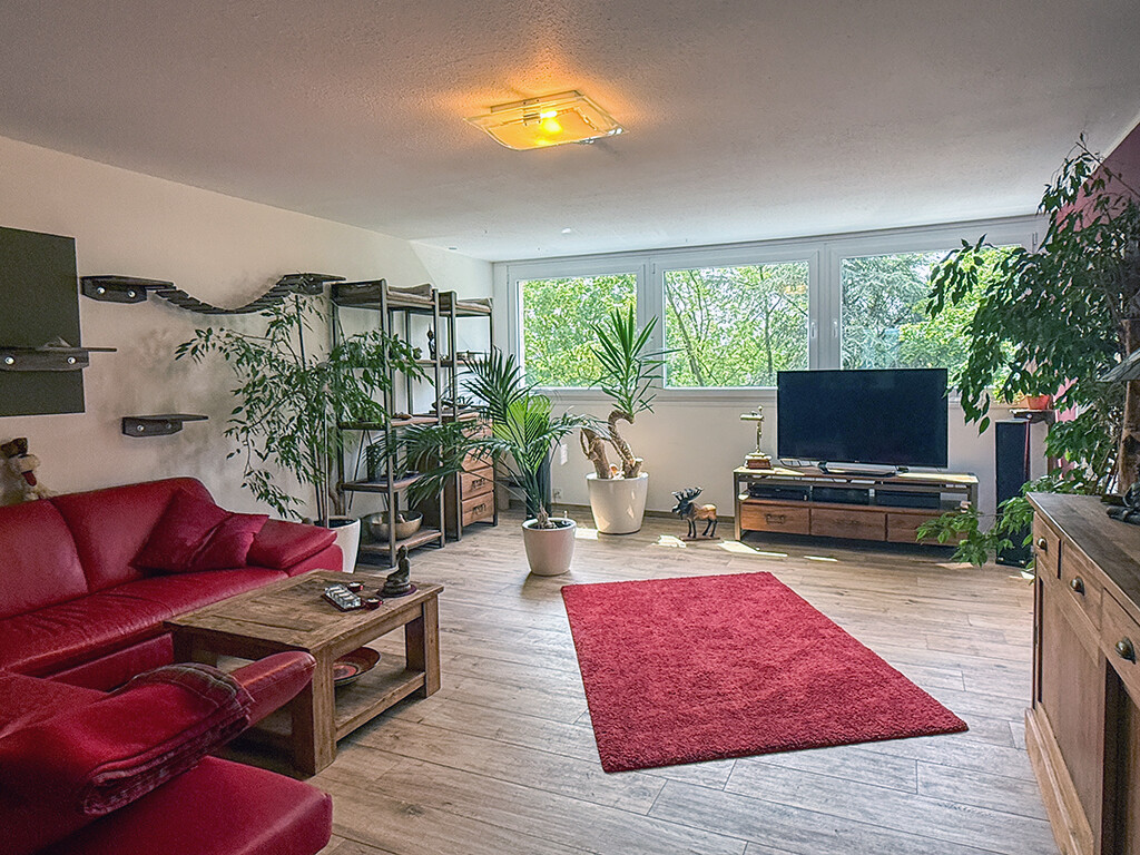 Immobilienbild