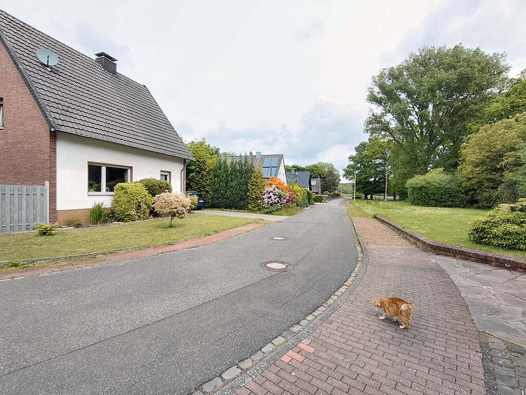 Immobilienbild