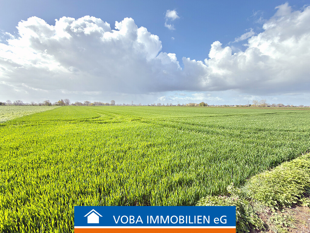 Immobilienbild