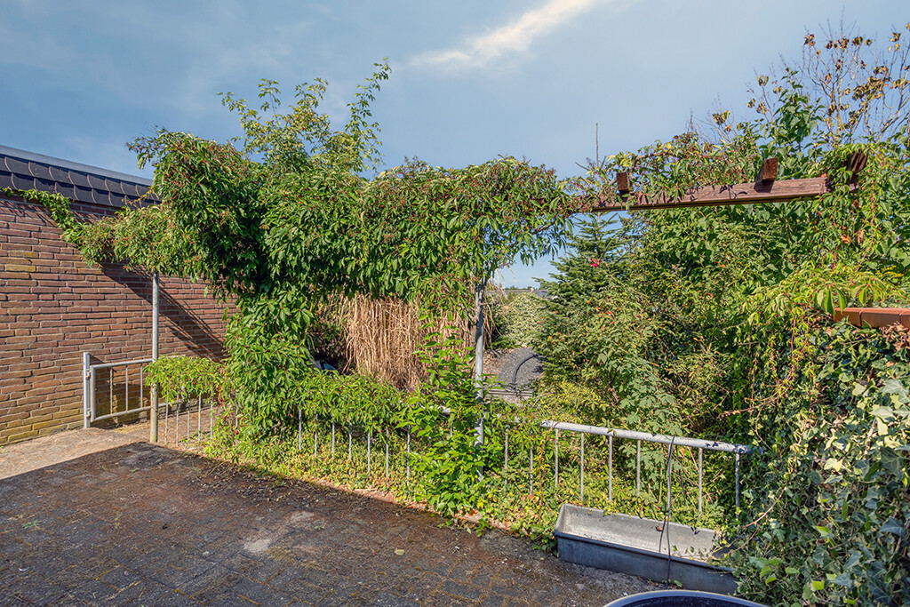 Immobilienbild