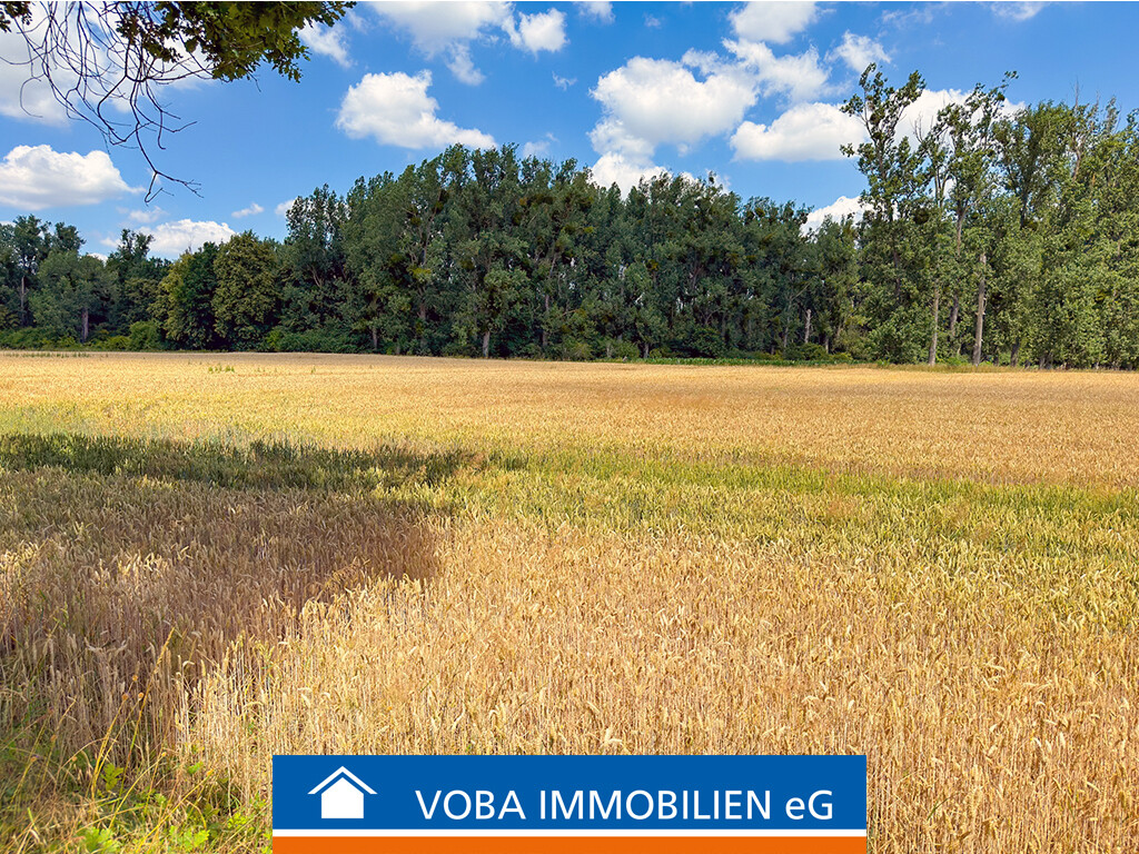 Immobilienbild