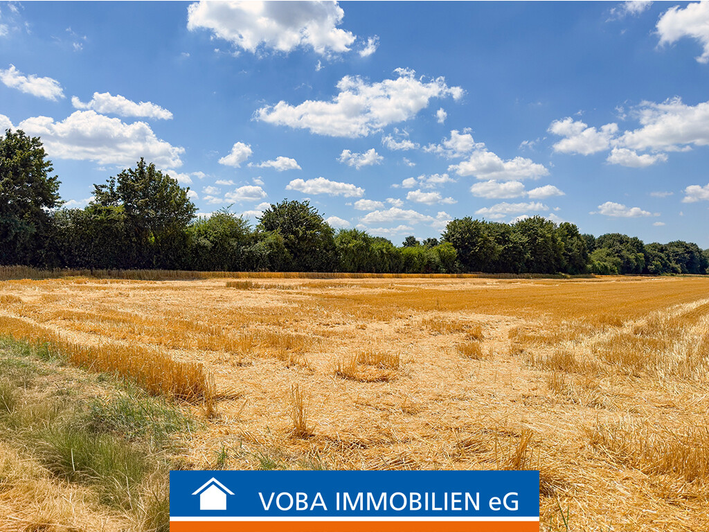 Immobilienbild