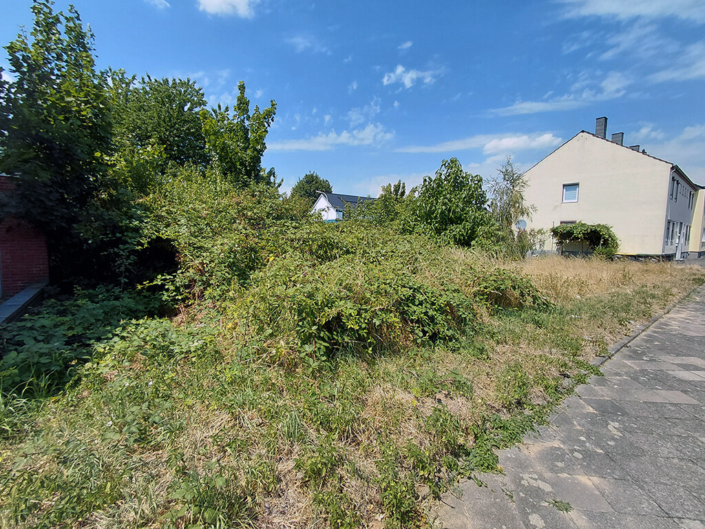 Immobilienbild