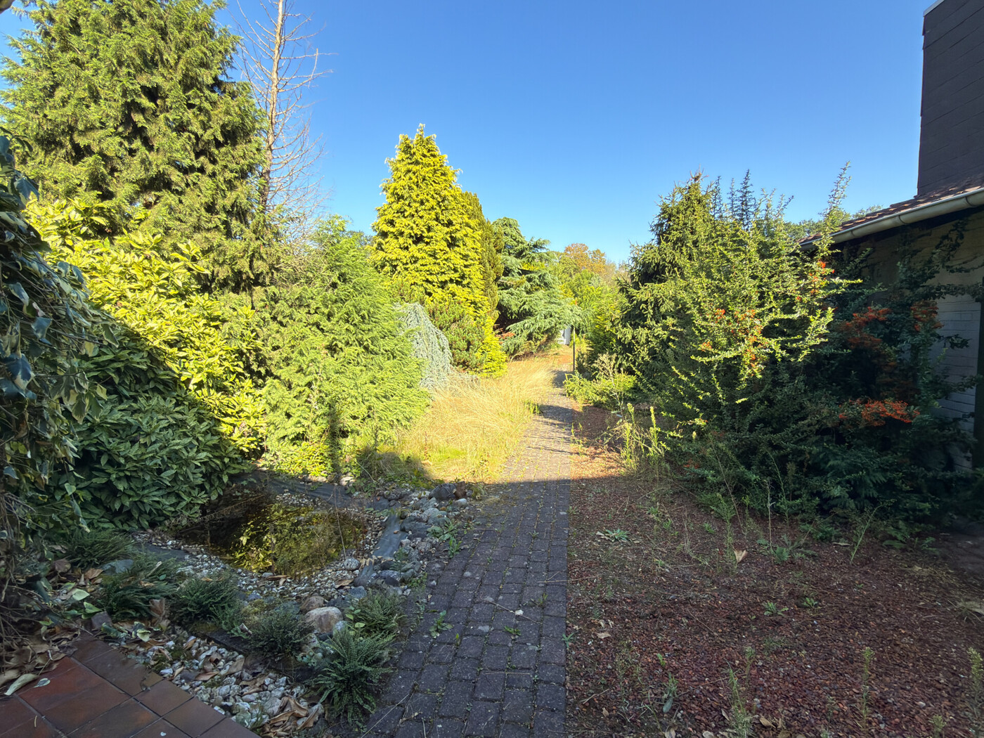 Immobilienbild
