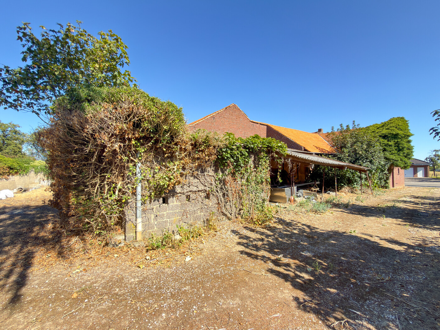 Immobilienbild