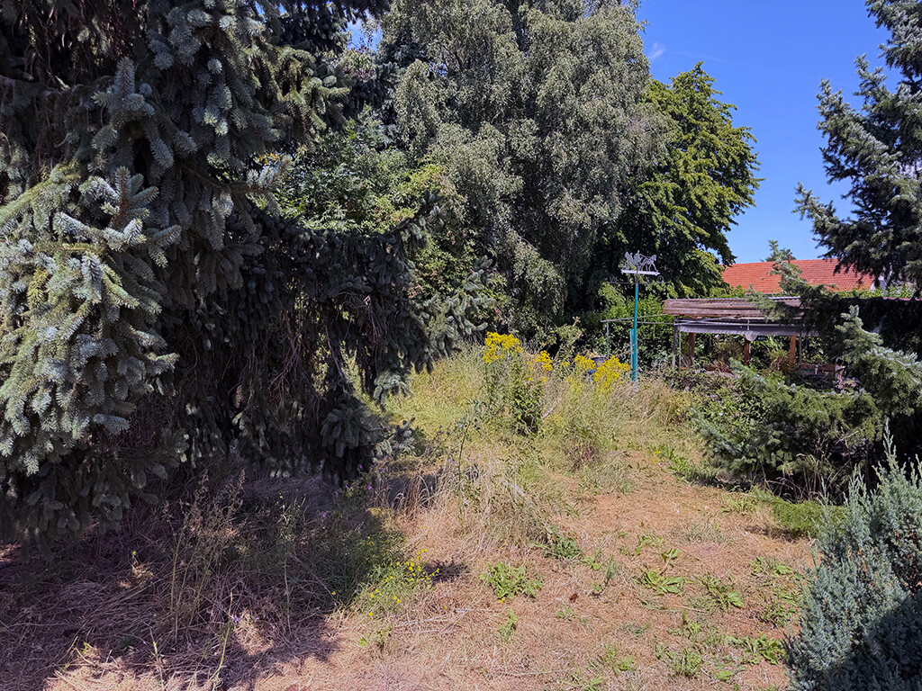 Immobilienbild