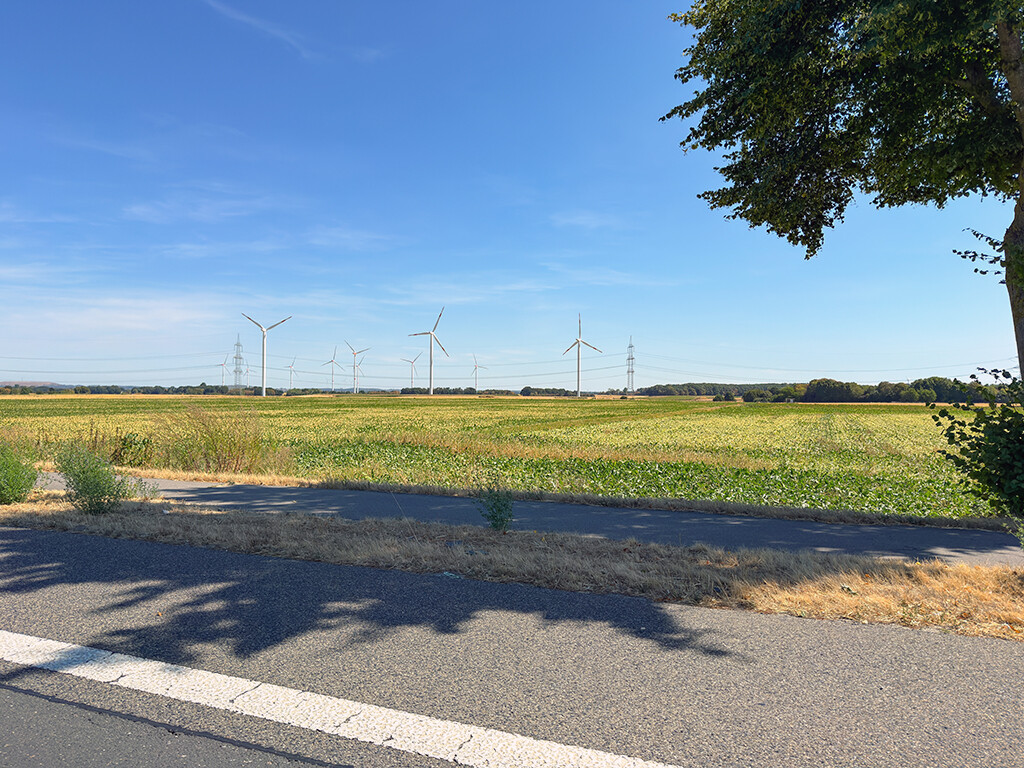 Immobilienbild