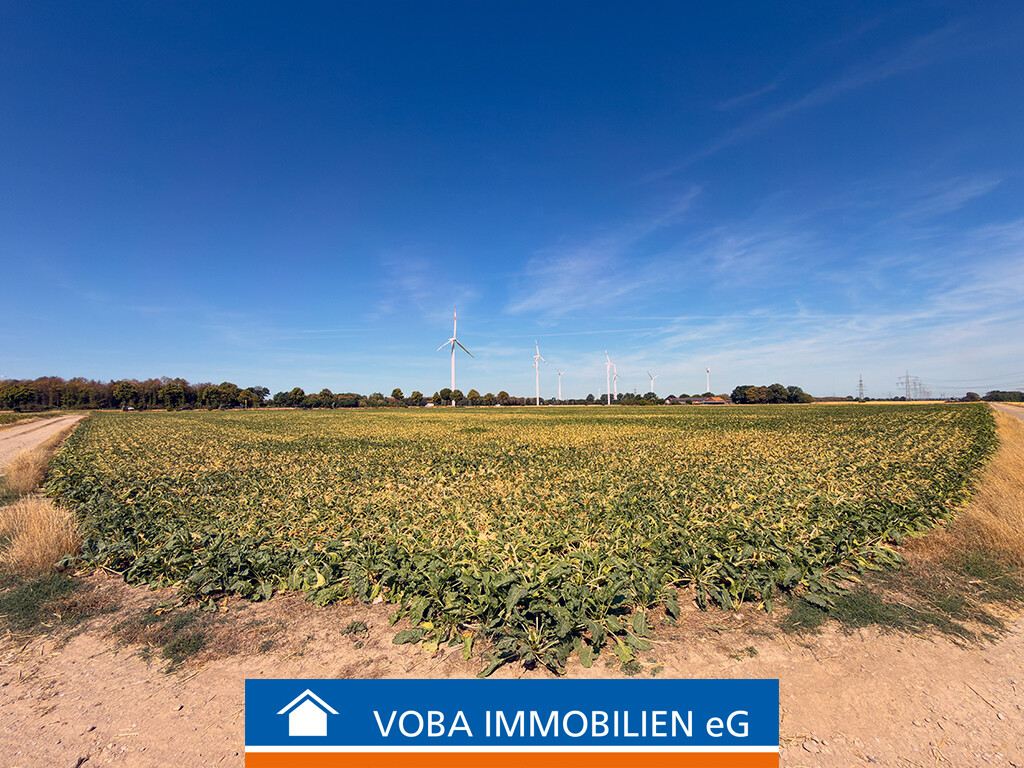 Immobilienbild