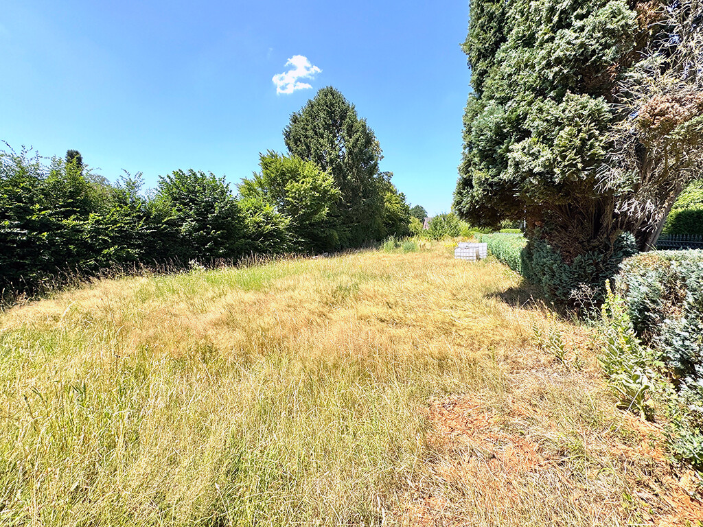 Immobilienbild