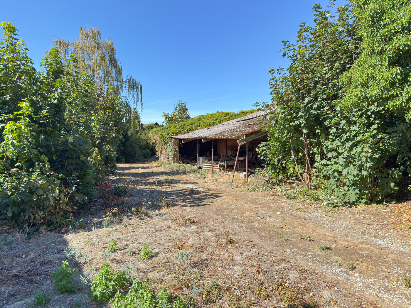 Immobilienbild