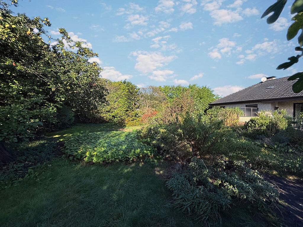 Immobilienbild