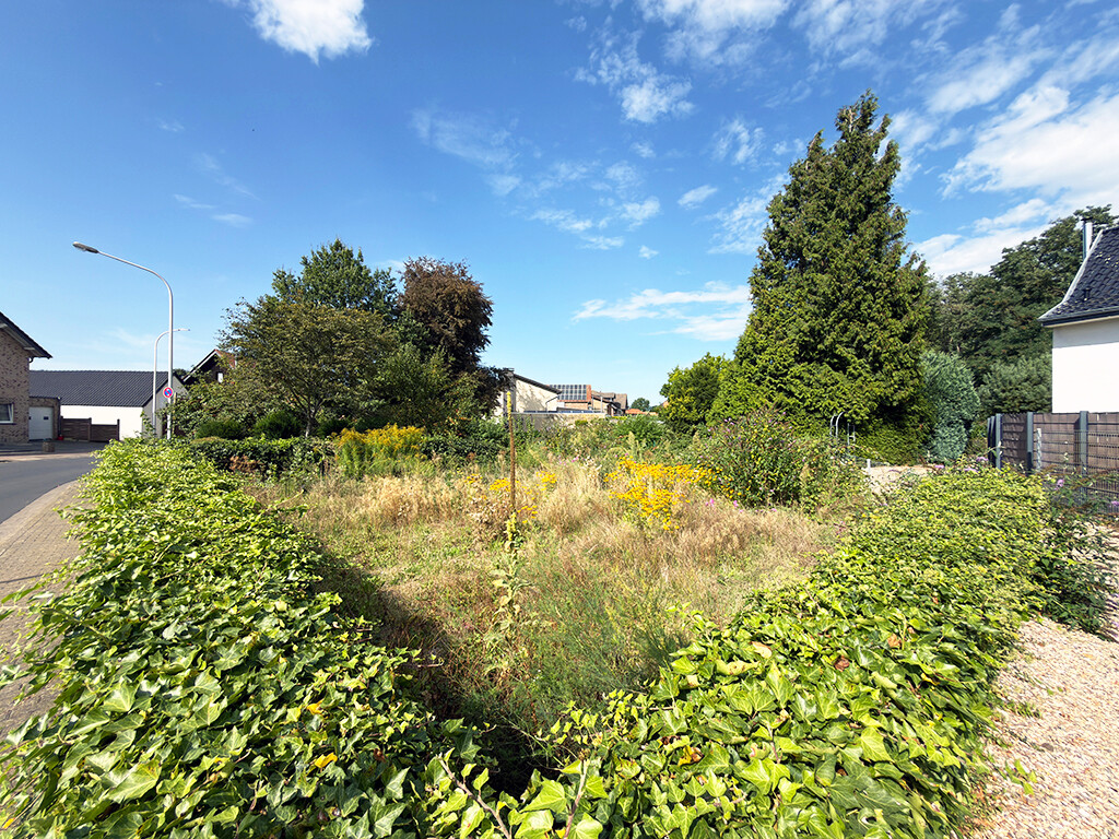 Immobilienbild