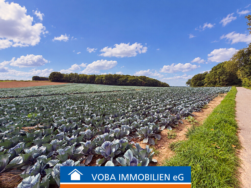 Immobilienbild