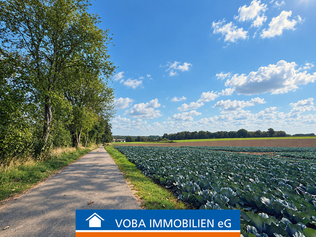 Immobilienbild