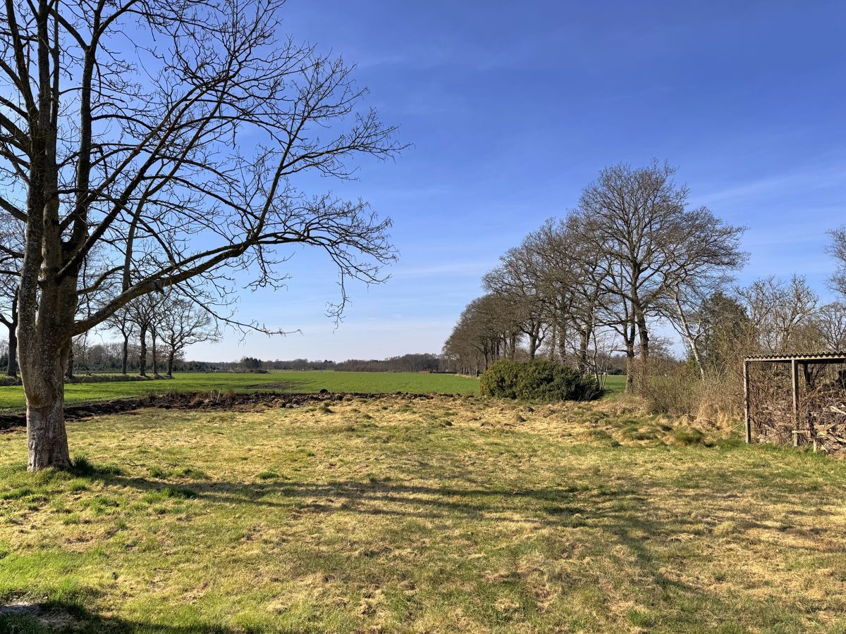 Blick auf Felder und Wiesen