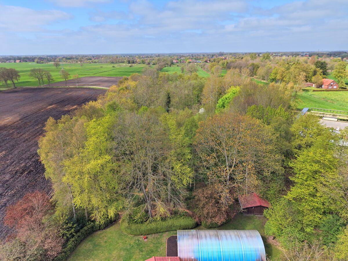 Blick auf das Waldstück und rückliegende Umgebung