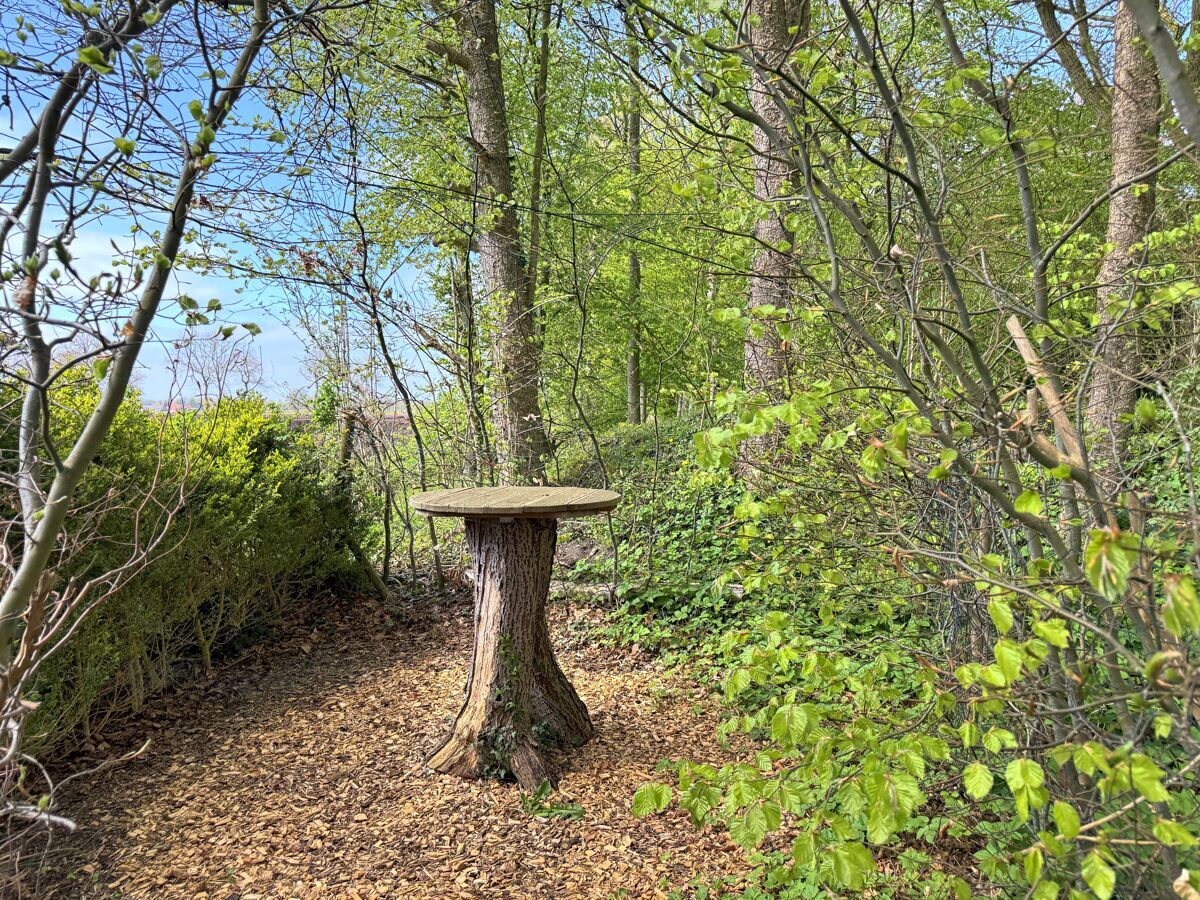 Naturangelegter Stehtisch im Wald
