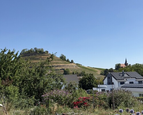 Blick auf die Weibertreu