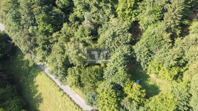 DJI_0330