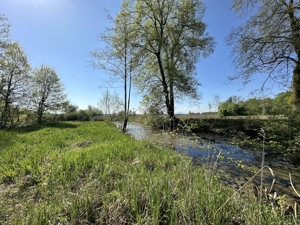 Seltene Gelegenheit - Idyllisches Freizeitgrundstück - Wald, Wiese und eigene Teiche