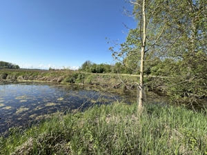 Seltene Gelegenheit - Idyllisches Freizeitgrundstück - Wald, Wiese und eigene Teiche