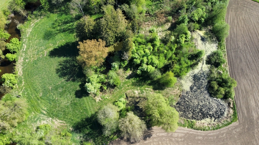 Seltene Gelegenheit - Idyllisches Freizeitgrundstück - Wald, Wiese und eigene Teiche