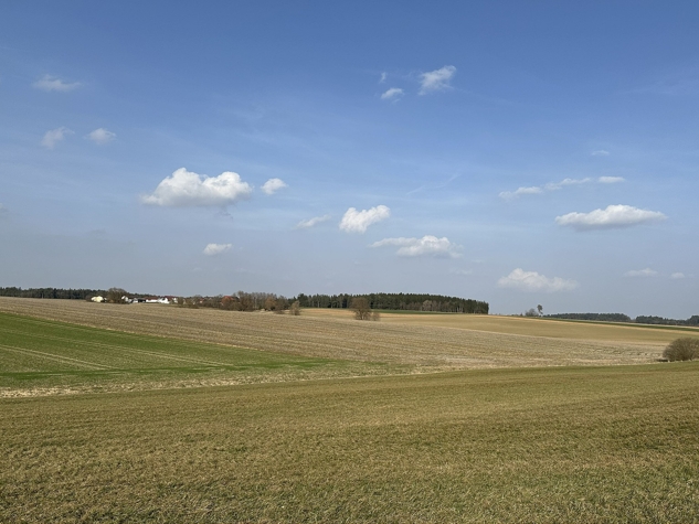 Ideal für Landwirte - Landwirtschaftliche Fläche